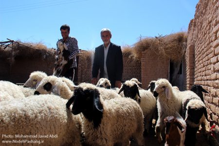 تصاویر/ روستای کویری پشنگ در گناباد