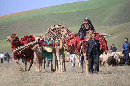 جشنواره بین المللی کوچ عشایر۱۴۰۲