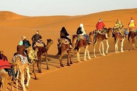 پارک طبیعت گردی کویر یزد پلمب شد