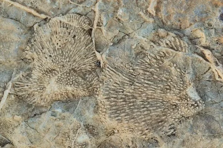دو اثر طبیعی خراسان جنوبی ثبت ملی شدند