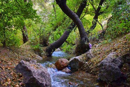 روستای کوانج یکی از جاذبه های بکر، طبیعی و ناشناخته