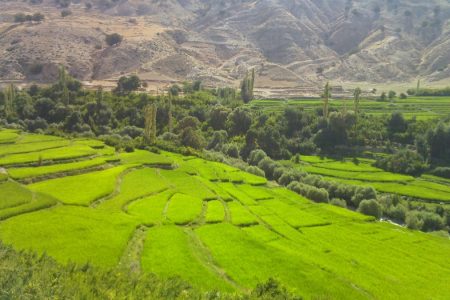 شهرستان باغملک ظرفیت ارزشمندی برای گردشگری و طبیعت‌گردی دارد