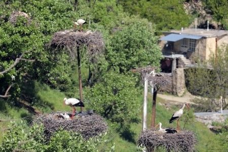 زیرساخت‌های گردشگری در روستای «لک‌لک‌ها» توسعه می یابد