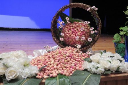 جشنواره پسته در رفسنجان برگزار می شود