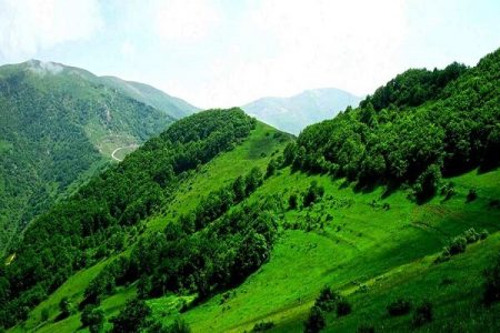 جنگل دیزمار در فهرست یونسکو به ثبت نرسید