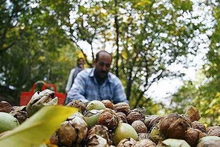 روستای علی‌آباد دمق ایستگاه پایانی جشنواره‌های گردشگری ملایر