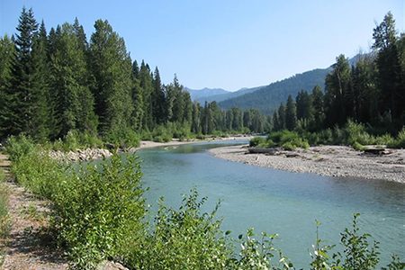 جزیره سپیدرود در روستای چولاب، یک نمونه از فرصت‌های سرمایه‌گذاری در بستر رود است
