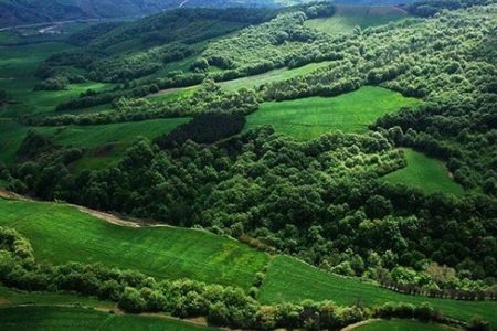 جنگل‌های هیرکانی بازمانده از عصر دایناسورها هستند