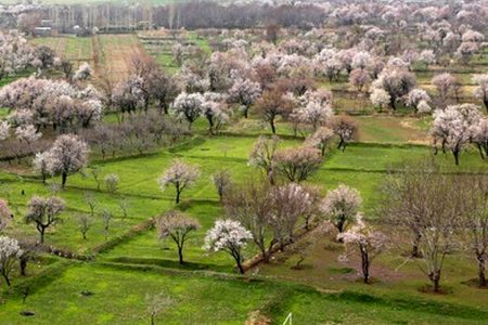 باغستان سنتی قزوین در جیاس ثبت شد