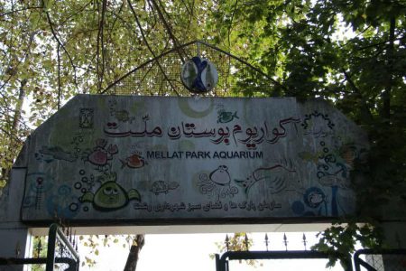 سکوت در آکواریوم بوستان ملت گیلان