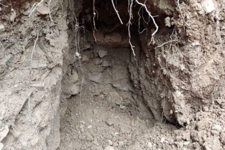 جویندگان گنج، زیر مسجدی را در کردستان حفاری کردند