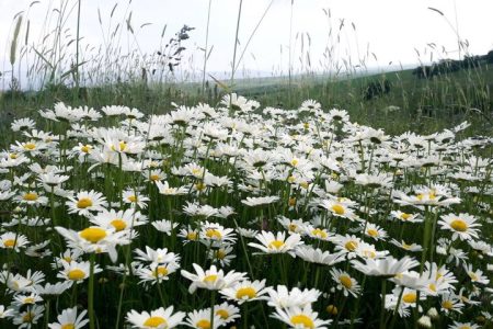 نمین؛ تکه‌ای از بهشت طبیعت ایران/ تصاویر