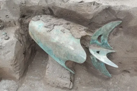 ارابه ۱۰۰۰ساله در گور کشف شد