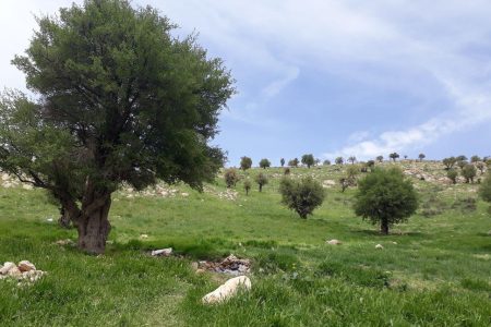 «کان‌گنبد» محوطه باستانی بازمانده از ۲۶۰۰ ق م در ایلام
