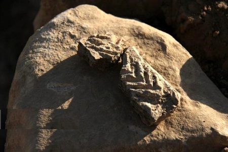 باستان‌شناسان کشف تازه‌ای در حاشیه هامون انجام دادند